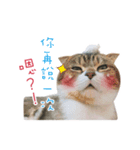 DondongMaini'chi（個別スタンプ：4）