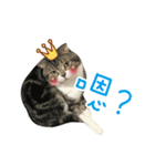 DondongMaini'chi（個別スタンプ：5）
