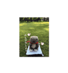 Wonbat minion（個別スタンプ：11）