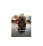 Wonbat minion（個別スタンプ：20）