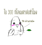 Cotton Bon（個別スタンプ：13）