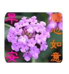 Flowers-2（個別スタンプ：6）