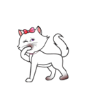 Kitty Katty Cutie（個別スタンプ：1）