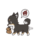黒柴のマロ（個別スタンプ：3）