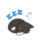 黒柴のマロ（個別スタンプ：6）