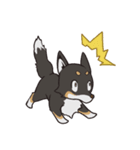 黒柴のマロ（個別スタンプ：7）