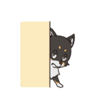 黒柴のマロ（個別スタンプ：9）