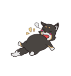 黒柴のマロ（個別スタンプ：13）