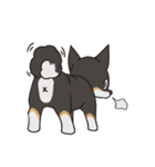 黒柴のマロ（個別スタンプ：15）