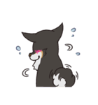 黒柴のマロ（個別スタンプ：22）
