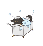 黒柴のマロ（個別スタンプ：27）
