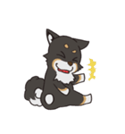 黒柴のマロ（個別スタンプ：40）