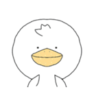 ピッピ（個別スタンプ：20）