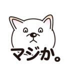 白柴犬・ホクトの日常会話（個別スタンプ：6）
