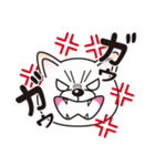 白柴犬・ホクトの日常会話（個別スタンプ：9）