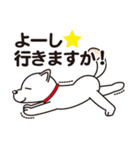 白柴犬・ホクトの日常会話（個別スタンプ：16）