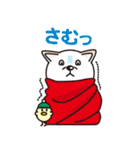 白柴犬・ホクトの日常会話（個別スタンプ：20）