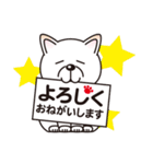 白柴犬・ホクトの日常会話（個別スタンプ：22）