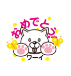白柴犬・ホクトの日常会話（個別スタンプ：24）
