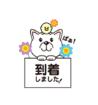 白柴犬・ホクトの日常会話（個別スタンプ：29）