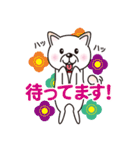 白柴犬・ホクトの日常会話（個別スタンプ：30）