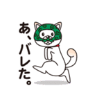 白柴犬・ホクトの日常会話（個別スタンプ：35）