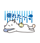 白柴犬・ホクトの日常会話（個別スタンプ：37）