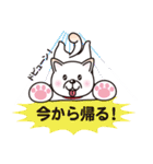 白柴犬・ホクトの日常会話（個別スタンプ：38）