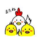 こっこっこさん（個別スタンプ：5）