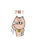 ねこ友さん（個別スタンプ：1）