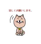 ねこ友さん（個別スタンプ：10）