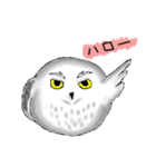 ふくろうの白丸ちゃんと福丸くん（個別スタンプ：1）