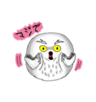 ふくろうの白丸ちゃんと福丸くん（個別スタンプ：5）