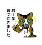 我が家のノラ猫ハナちゃん♀（個別スタンプ：1）