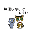 我が家のノラ猫ハナちゃん♀（個別スタンプ：3）
