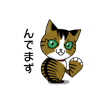 我が家のノラ猫ハナちゃん♀（個別スタンプ：4）