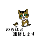 我が家のノラ猫ハナちゃん♀（個別スタンプ：5）