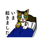 我が家のノラ猫ハナちゃん♀（個別スタンプ：6）