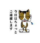 我が家のノラ猫ハナちゃん♀（個別スタンプ：8）
