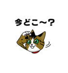 我が家のノラ猫ハナちゃん♀（個別スタンプ：9）