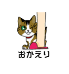 我が家のノラ猫ハナちゃん♀（個別スタンプ：11）