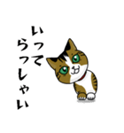 我が家のノラ猫ハナちゃん♀（個別スタンプ：14）