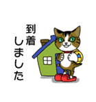 我が家のノラ猫ハナちゃん♀（個別スタンプ：16）