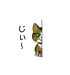 我が家のノラ猫ハナちゃん♀（個別スタンプ：18）