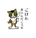 我が家のノラ猫ハナちゃん♀（個別スタンプ：22）