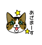 我が家のノラ猫ハナちゃん♀（個別スタンプ：24）