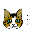 我が家のノラ猫ハナちゃん♀（個別スタンプ：25）