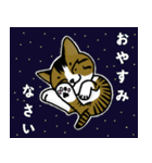 我が家のノラ猫ハナちゃん♀（個別スタンプ：26）