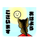 我が家のノラ猫ハナちゃん♀（個別スタンプ：27）