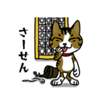 我が家のノラ猫ハナちゃん♀（個別スタンプ：28）